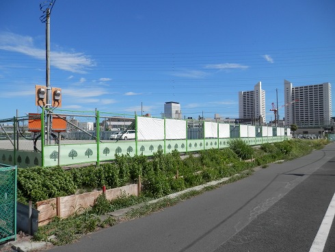 20130902 026.jpg