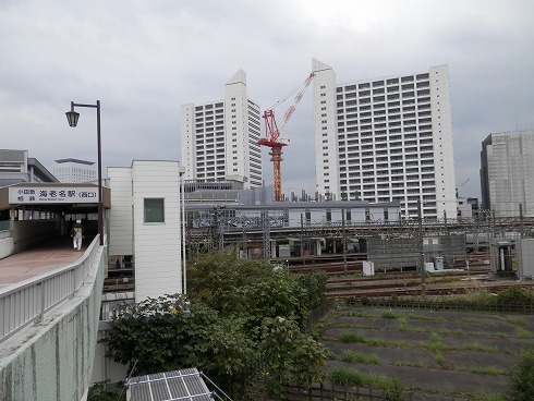 20131102 013.jpg
