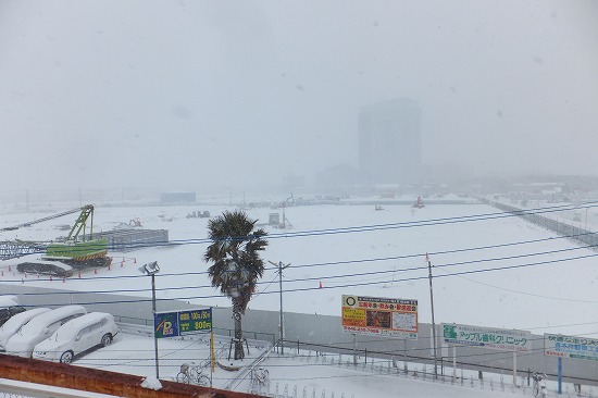 20140208-1 004.jpg