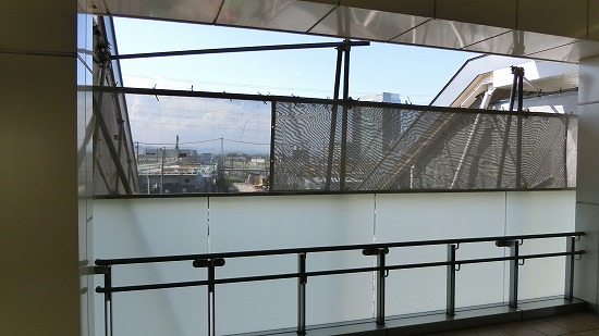 CIMG0001.jpg
