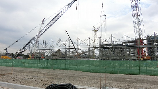 CIMG0041.jpg