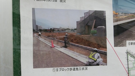 CIMG0050.jpg