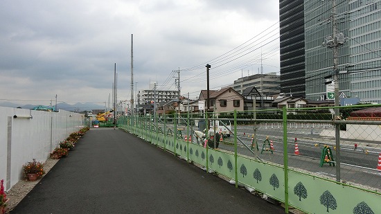CIMG0064.jpg