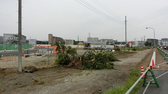CIMG0066.jpg